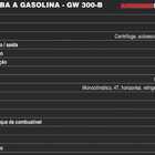 Motobomba A Gasolina Kawashima Gw 300b 3 Polegadas 7hp