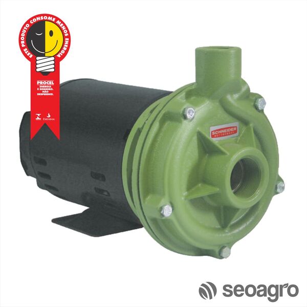 Motobomba Centrífuga Bc-92t 1c 1cv Trif 220/380v Schneider