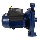 Motobomba Centrifuga Eletroplas Mcse-100   1cv