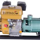 Motobomba Gasolina 4 Estágios 1'' 6,5cv P Manual Buffalo