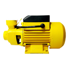 Motobomba Periferica Cp60h 220v/60hz 1/2cv Claw