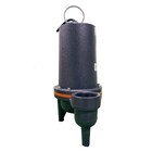 Motobomba Submersivel  Lsev 422 220V Lepono