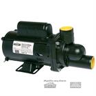 Motobomba para Hidromassagem dancor Had-7 0,5 Cv trifasica 22
