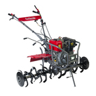 Motocul a Diesel de 10,0 CV Tratorito