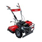 Motocultivador A Gasolina Branco