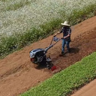 Motocutivador Diesel Toyama 11hp P.elétrica 12tdt135re12-xp