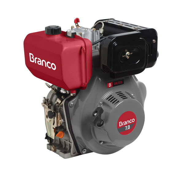 Motor Bd 7.0 Diesel 7HP Partida Eletrica