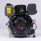 Motor Diesel 6,9CV 296CC Part Eletrica