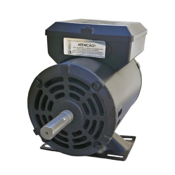 Motor Elétrico Monofásico 1 Cv 4 Polos Ip21 110/220v B3vt