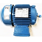 Motor Elétrico Trifásico 0,50 Cv 4 Pólos Ip55 B3d 2t Ir3