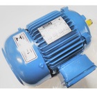 Motor Elétrico Trifásico 1 Cv 4 Pólos Ip55 B3d 4t Ir3