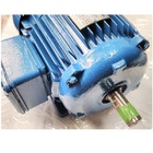 Motor Elétrico Trifásico 2 Cv 4 Pólos Ip55 B3d 4t Ir3