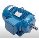 Motor Elétrico Trifásico 2 Cv 4 Pólos Ip55 B3d 4t Ir3