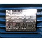 Motor Elétrico Trifásico 3 Cv 2 Pólos Ip55 B3d 4t Ir3