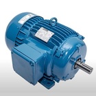 Motor Elétrico Trifásico 3 Cv 4 Pólos Ip55 B3d 4t Ir3