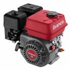 Motor Estacionário 5.5cv 4t Com Rabeta Curta 1,50m