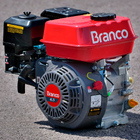 Motor Estacionário B4t 6.5h A Gasolina Branco Branco