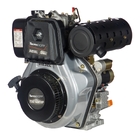 Motor Multiuso Diesel Tde140exp 13.5hp 4t Eixo 1" 12v Toyama