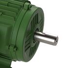 Motor Trifásico Para Aplicações Diversas 1,5 Cv 4 Polos 220/3