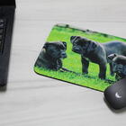 Mouse Pad  Buldogue