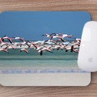 Mouse Pad  Flamingo Voando
