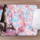 Mouse Pad  Flor De Cerejeira