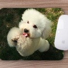 Mouse Pad  Poodle