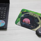 Mouse Pad  Pug