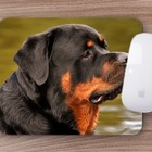 Mouse Pad  Rotweiler