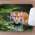 Mouse Pad Animais Silvestres  Tigre