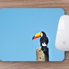 Mouse Pad Animais Silvestres  Tucano