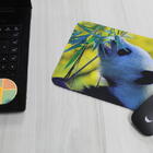 Mouse Pad Animais Silvestres  Urso Panda