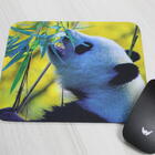 Mouse Pad Animais Silvestres  Urso Panda