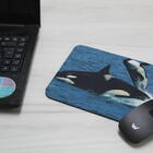 Mouse Pad Coleção 7 Mares  Baleia Orca Projeto Oceanos