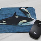 Mouse Pad Coleção 7 Mares  Baleia Orca Projeto Oceanos