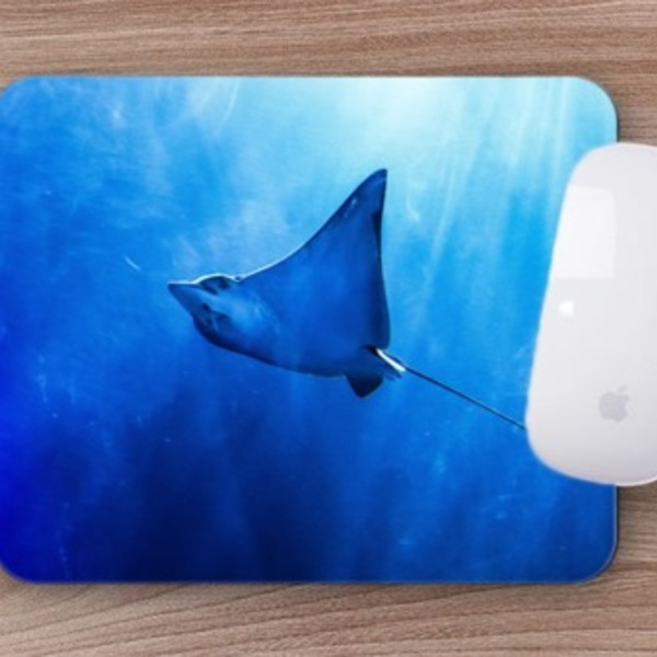 Mouse Pad Coleção 7 Mares  Raia Chita Projeto Oceanos