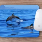 Mouse Pad Coleção 7 Mares Golfinho