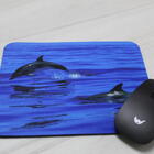 Mouse Pad Coleção 7 Mares Golfinho