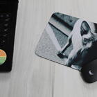 Mouse Pad Coleção Gatos Sphynx  O Extravagante
