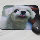 Mouse Pad Dog