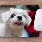 Mouse Pad Dog