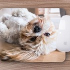 Mouse Pad Dog  Lhasa Apso