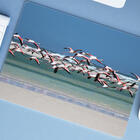 Mouse Pad Grande  Flamingo Voando