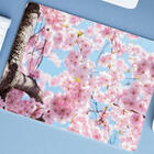 Mouse Pad Grande  Flor De Cerejeira