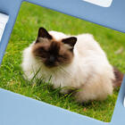 Mouse Pad Grande  Himalaia