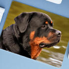Mouse Pad Grande  Rotweiler