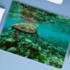 Mouse Pad Grande  Tartaruga Marinha