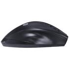 Mouse Sem Fio 2.4 Ghz 1200 Dpi Dynamic Ergo Preto Usb - Dm110