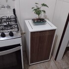 Móvel Bg Amadeirado