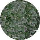 Muro Inglês Com Folha De Ficus Artifical 2 M X 1 M